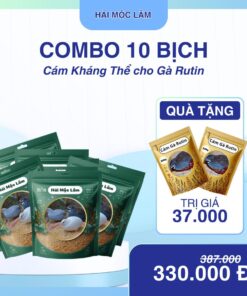 Combo 10 Bịch Kháng Thể