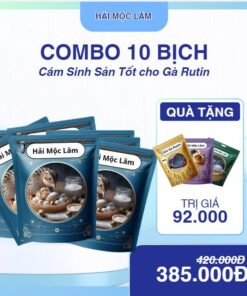 Combo 10 Bịch Sinh Sản
