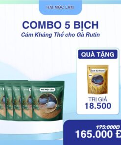 Combo 5 Bịch Kháng Thể