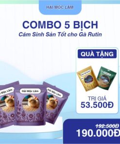 Combo 5 Bịch Mới Nở