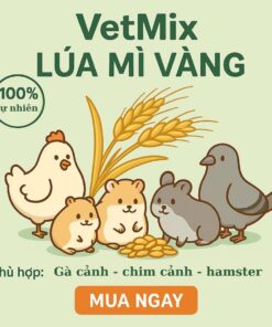 Lúa Mì Vàng 800g