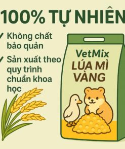Lúa Mì Vàng 2kg