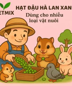 Đậu Hà Lan Xanh Cao Cấp 2kg