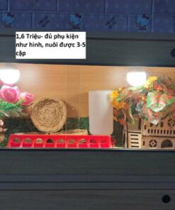 Chuồng 1 Mặt Kính 80x40x40 Không PK
