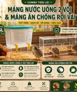 Combo Bình Nước + Máng Ăn