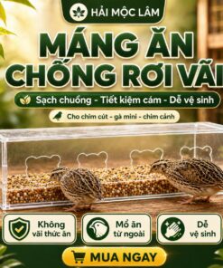 Máng Ăn Chống Đổ Mica