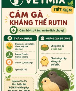 Cám Gà Rutin Kháng Thể VETMIX TK