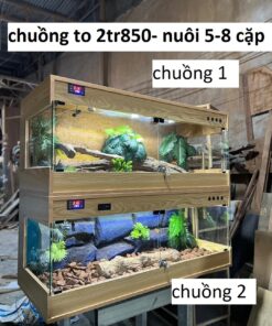 Chuồng 3 Mặt Kính 100x50x50 Không PK