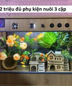 Chuồng 3 Mặt Kính 60x40x40 Không PK