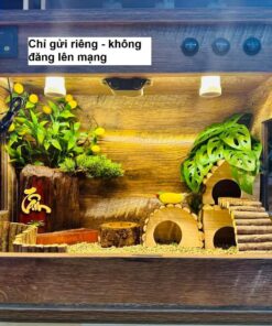 Chuồng 3 MẶT Kính 60x40x40 Có PK