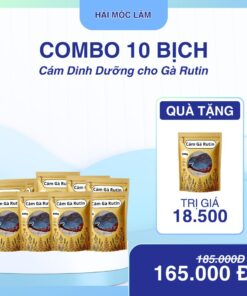 COMBO 10 DINH DƯỠNG TẶNG 1 DD