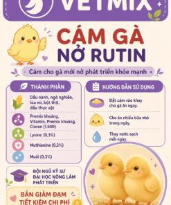 Cám gà rutin nở tiết kiệm