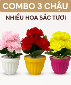 CHẬU HOA GIẢ NHIỀU BÔNG
