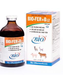 BIO-FER+B12 20%